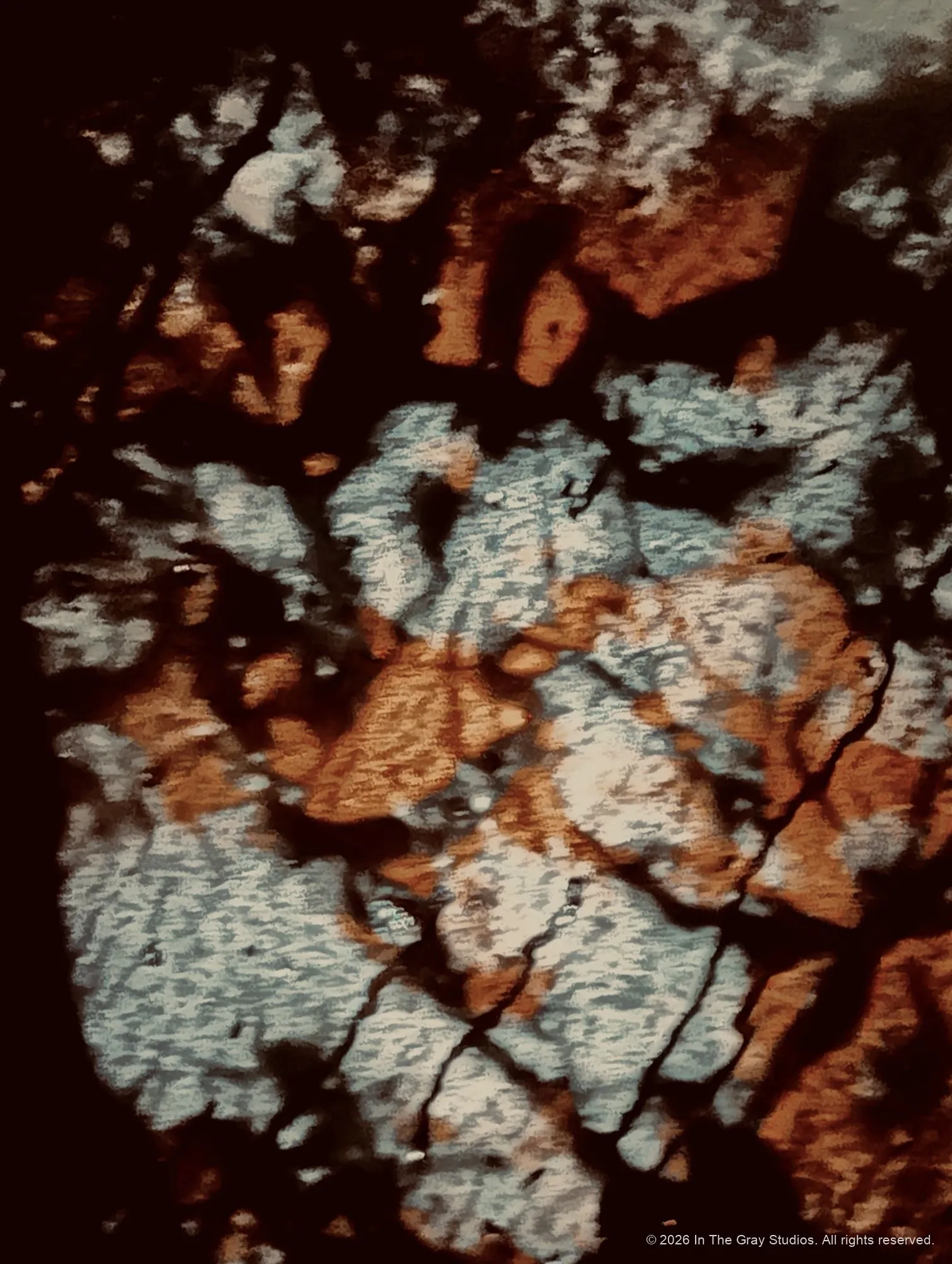 Abstract & Artwork — photograph by Naimah Gray