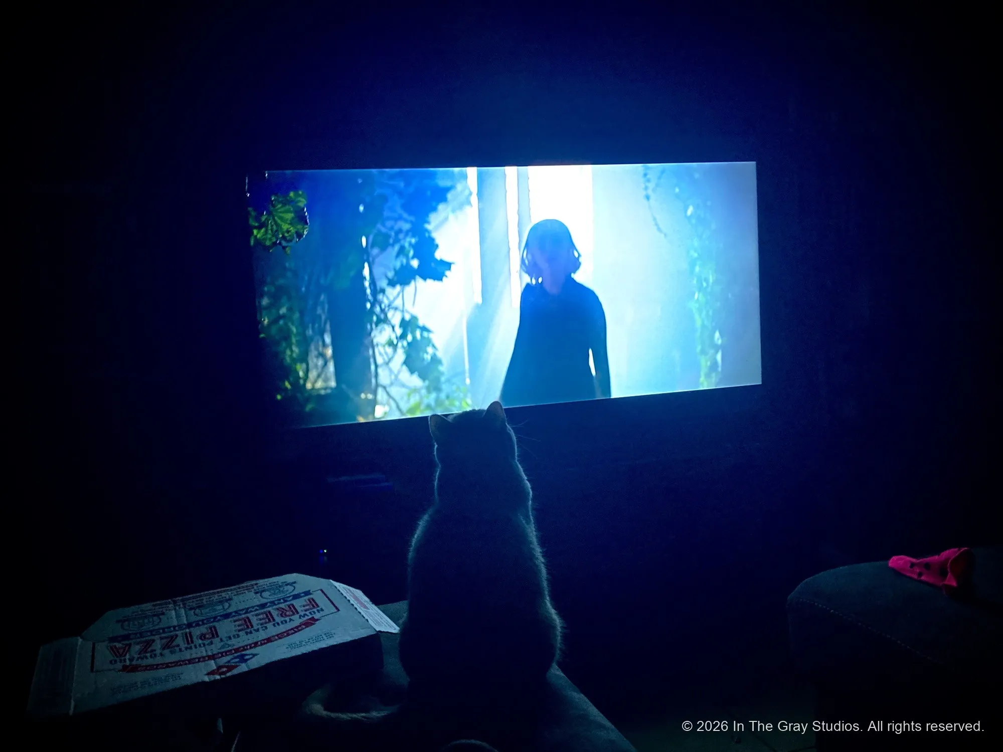 A lone figure silhouetted against a cinema screen in a darkened room