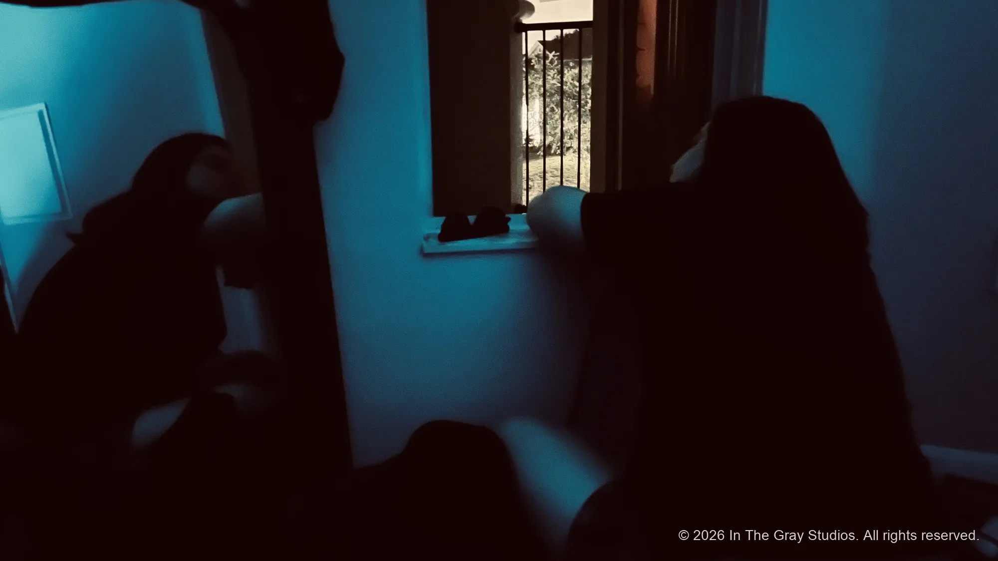Two figures in shadow inside a dim room, cold daylight at the window