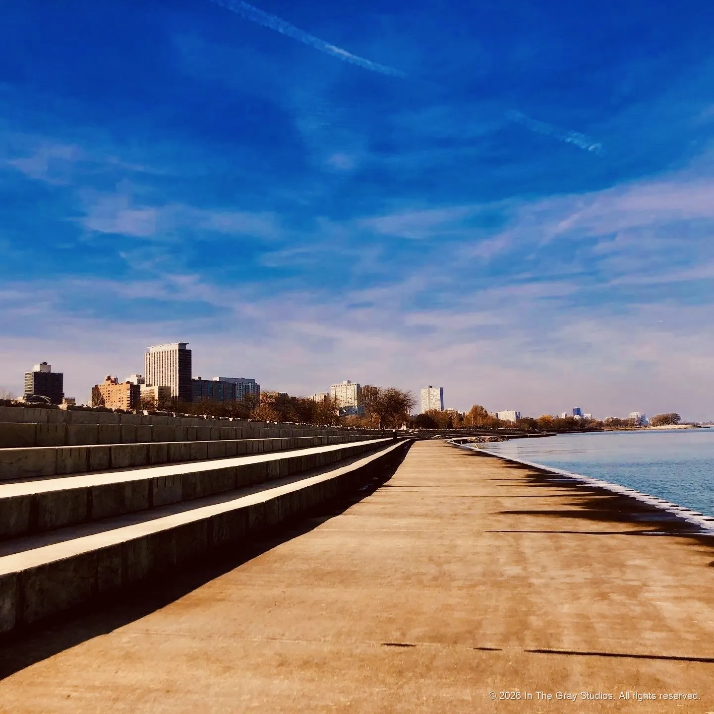 Cities & Skylines — photograph by Naimah Gray
