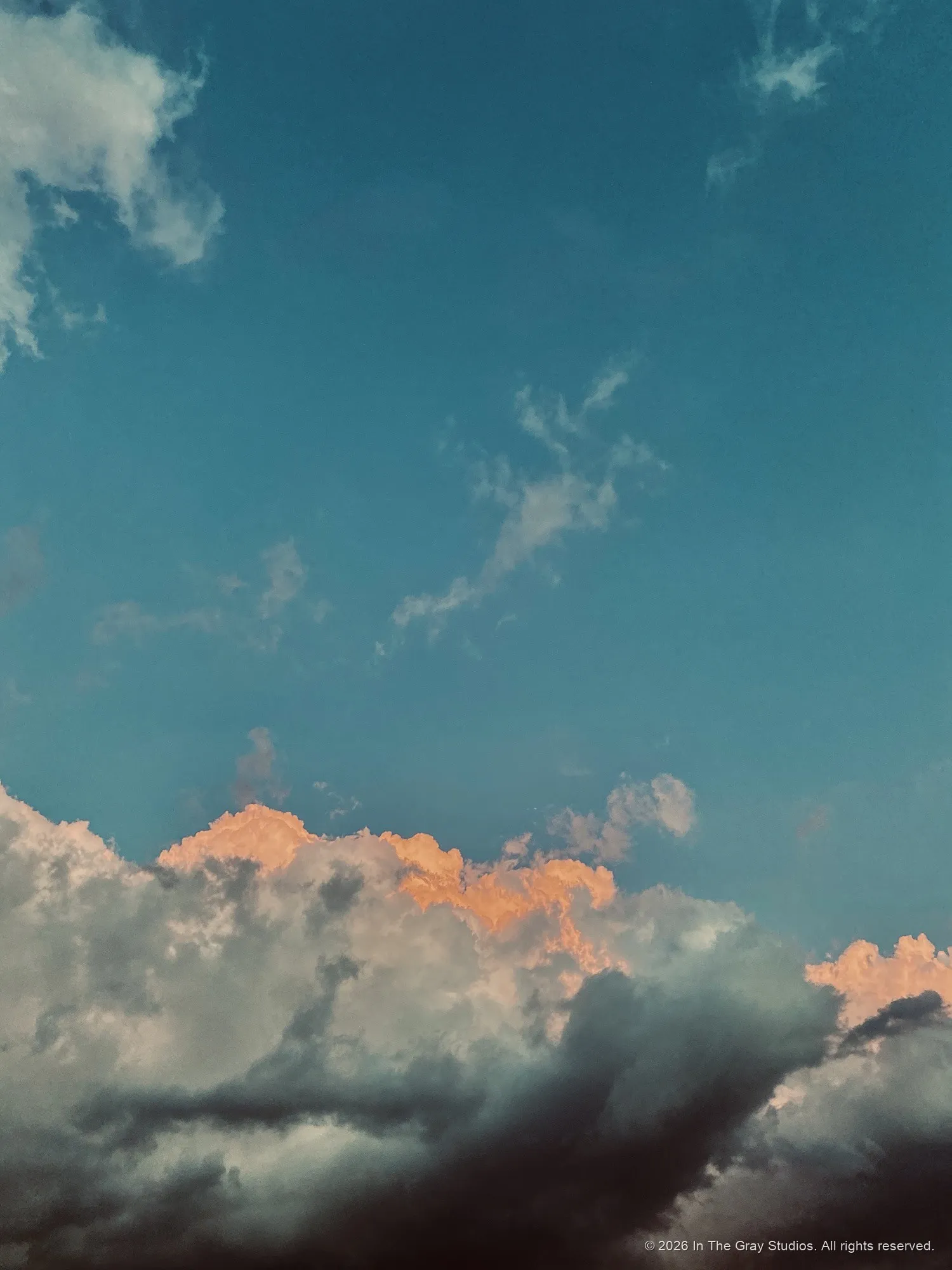 Nature & Animals — photograph by Naimah Gray