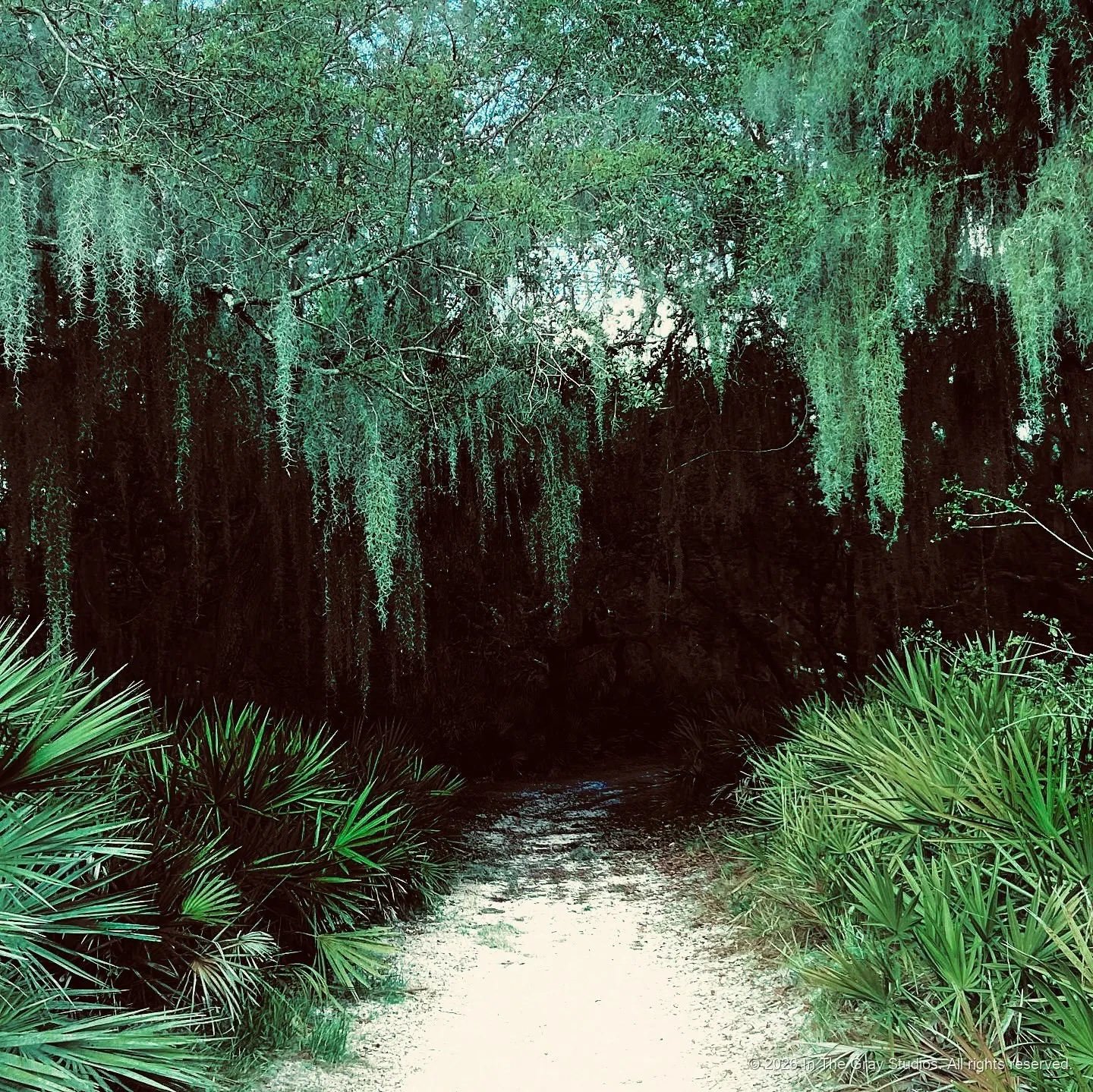 Nature & Animals — photograph by Naimah Gray