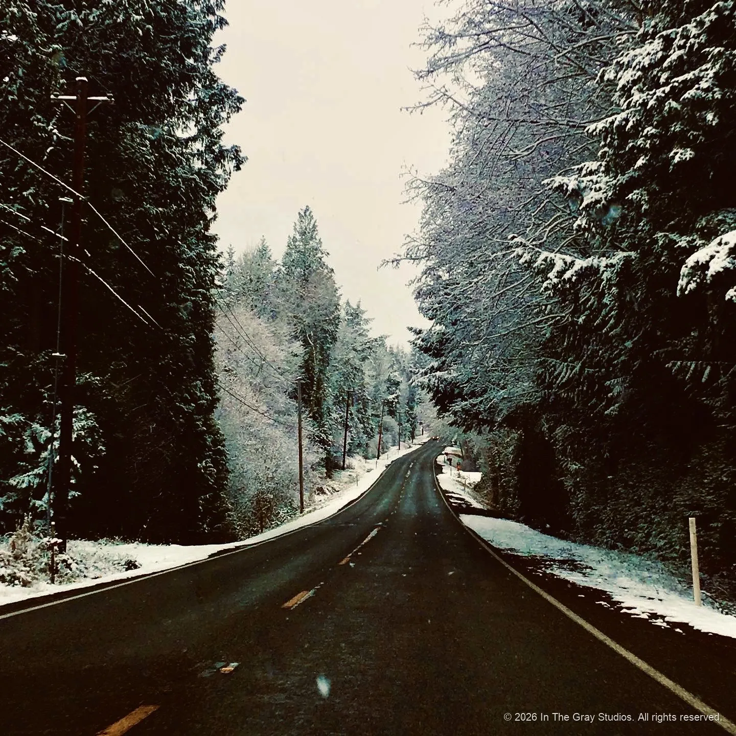 The Road — photograph by Naimah Gray