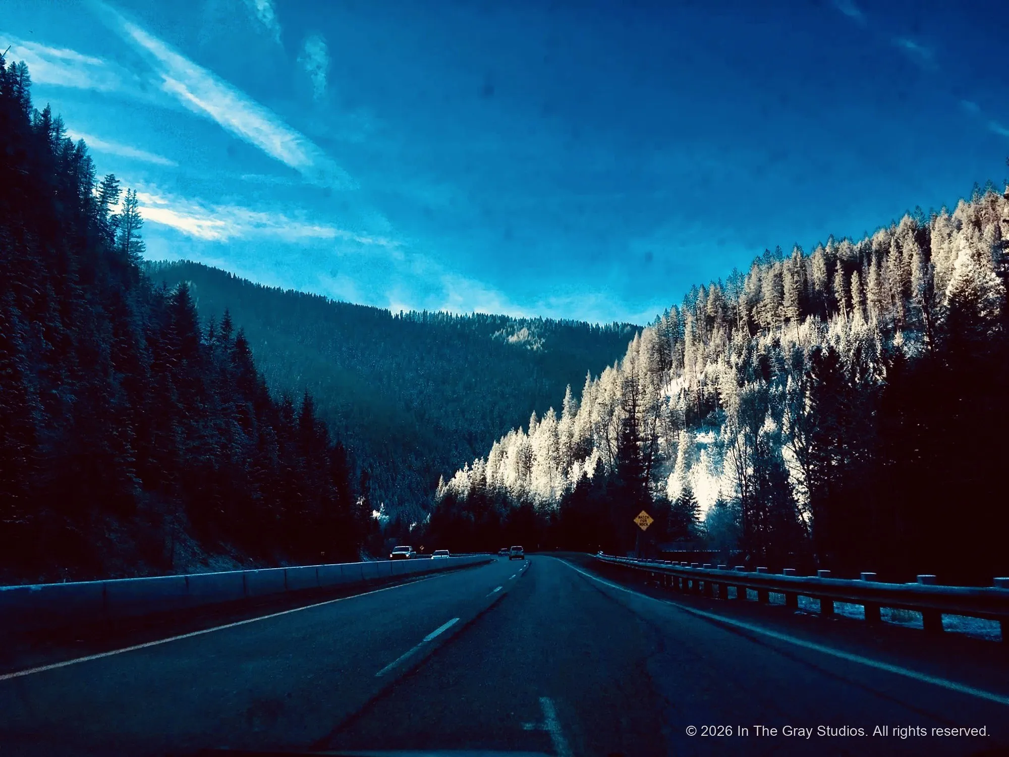 The Road — photograph by Naimah Gray