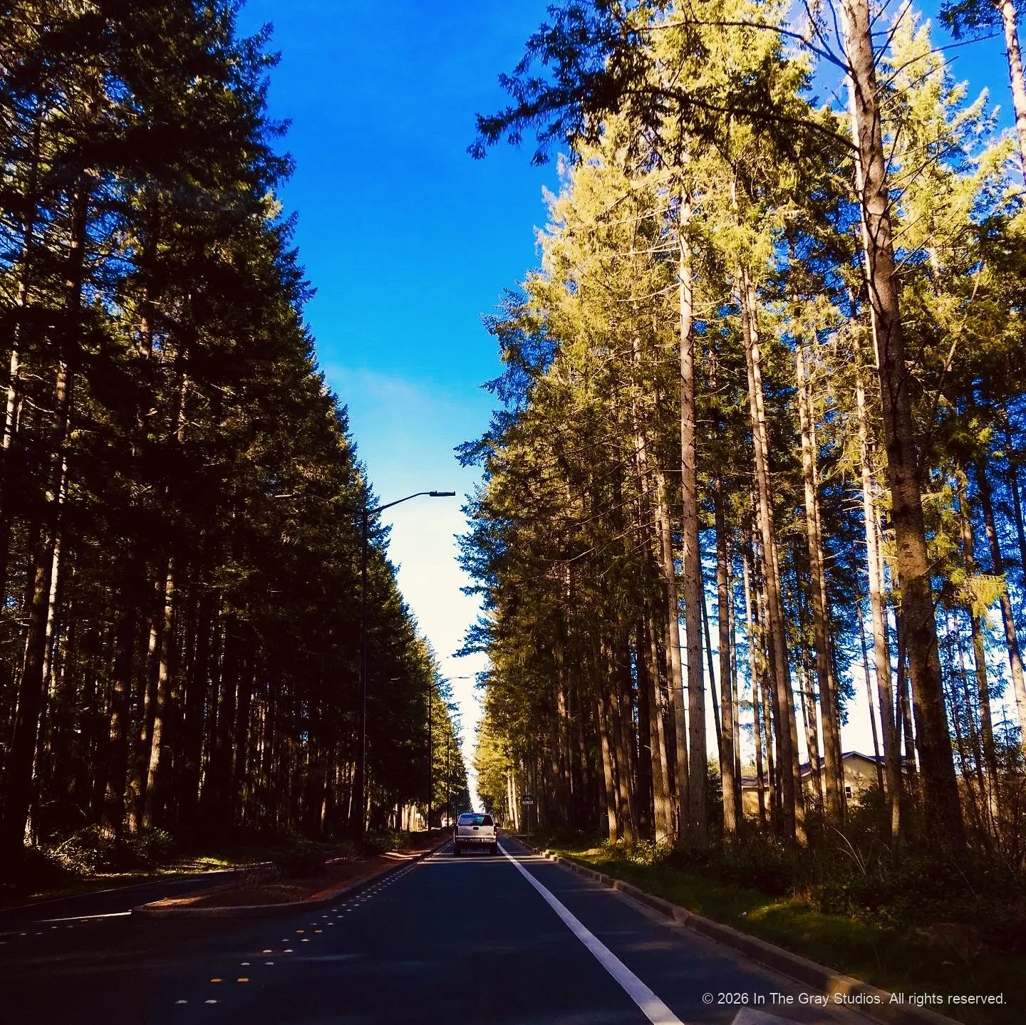 The Road — photograph by Naimah Gray