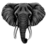 In The Gray Studios logo